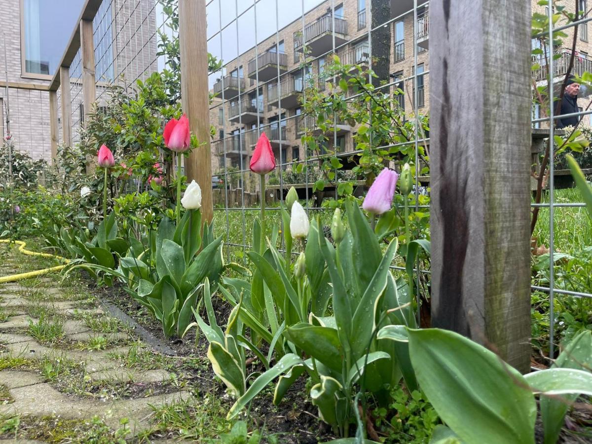 Vondice Hotel Amsterdam Eksteriør bilde